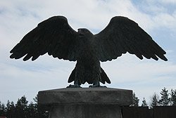 �������� �� ������