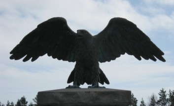 ���������� �� ������: ���� (������ 50 ��) ����������