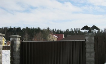 ���������� �� ������: ���� �� �������